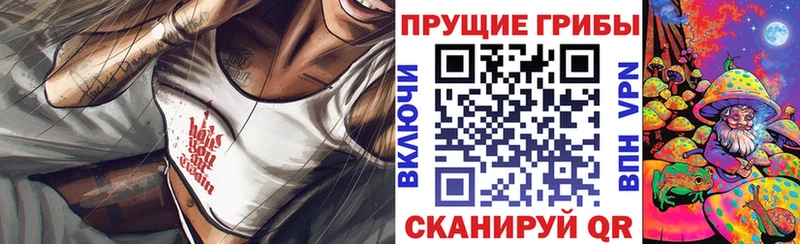 ОМГ ОМГ ССЫЛКА  Новая Усмань  Псилоцибиновые грибы мухоморы 
